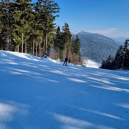Hoamad Im Bayerischen Wald *