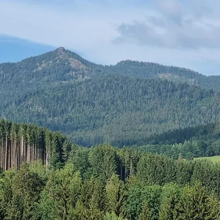 Hoamad Im Bayerischen Wald Дом отдыха *