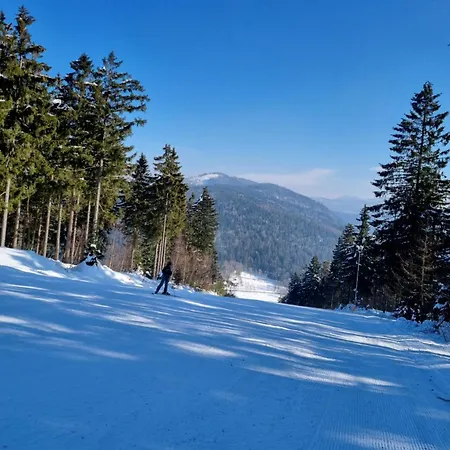 Hoamad Im Bayerischen Wald Дом отдыха